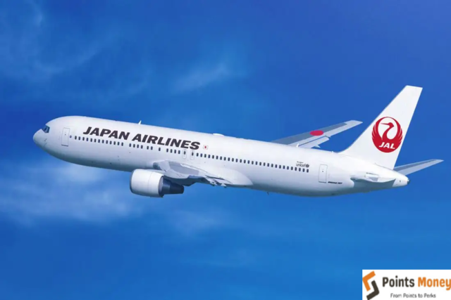 JAL Same Day Delivery Service