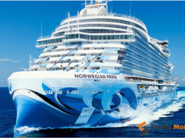 Norwegian Cruise Line Redefining Modern Cruising